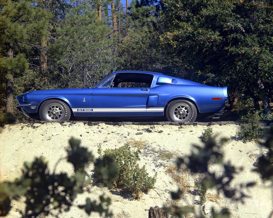 1968 Shelby GT500 0001-4648