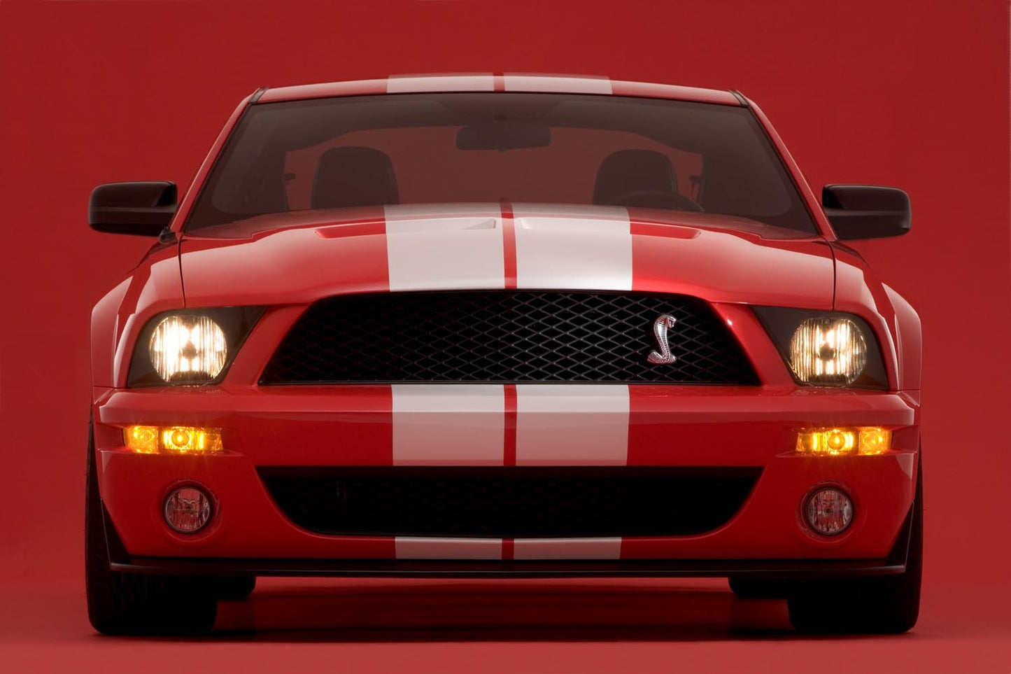 2007 Shelby GT500 0001-4703