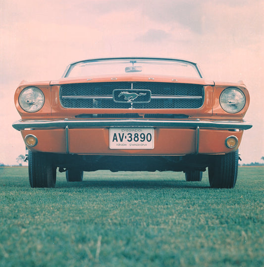 1964 1/2 Ford Mustang Convertible 0001-4913