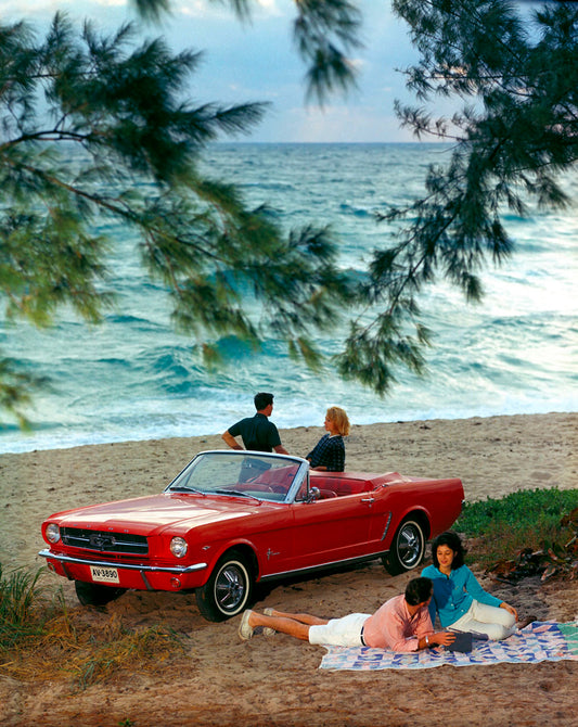 1964 1/2 Ford Mustang Convertible 0001-4914