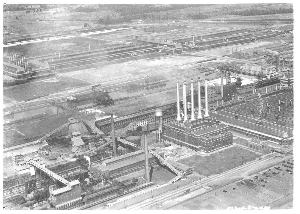 RougePlant 0001-7818