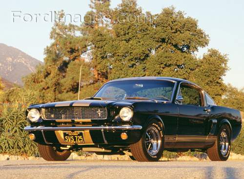 1966 Shelby GT350H