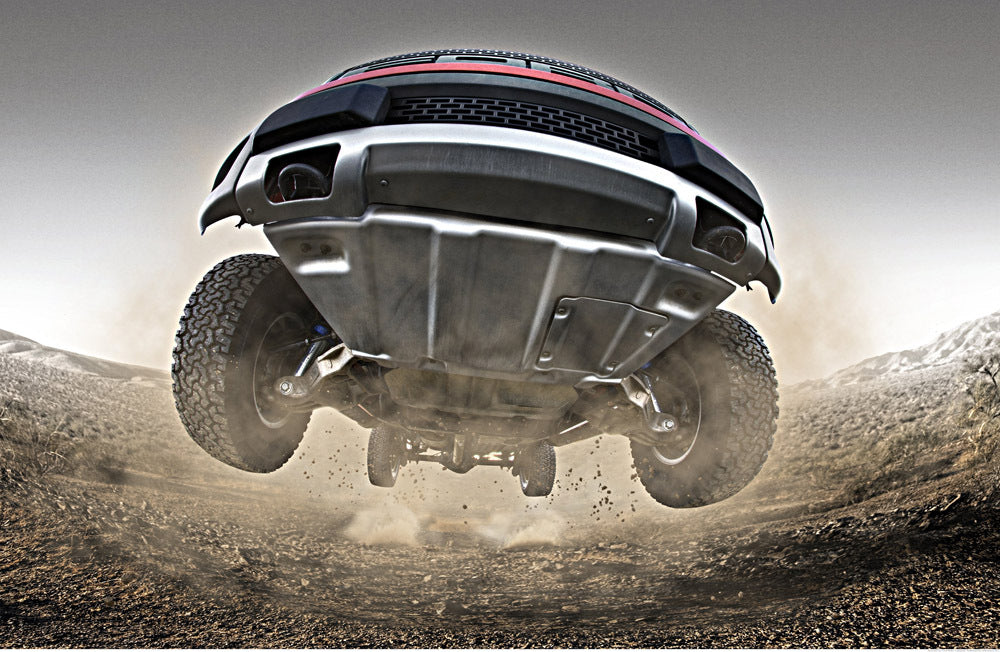 2010 F-150 Raptor 0003-6045