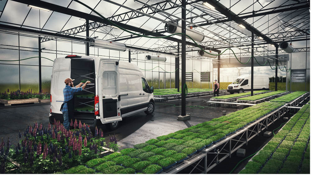 Transit Vans 0144-0020