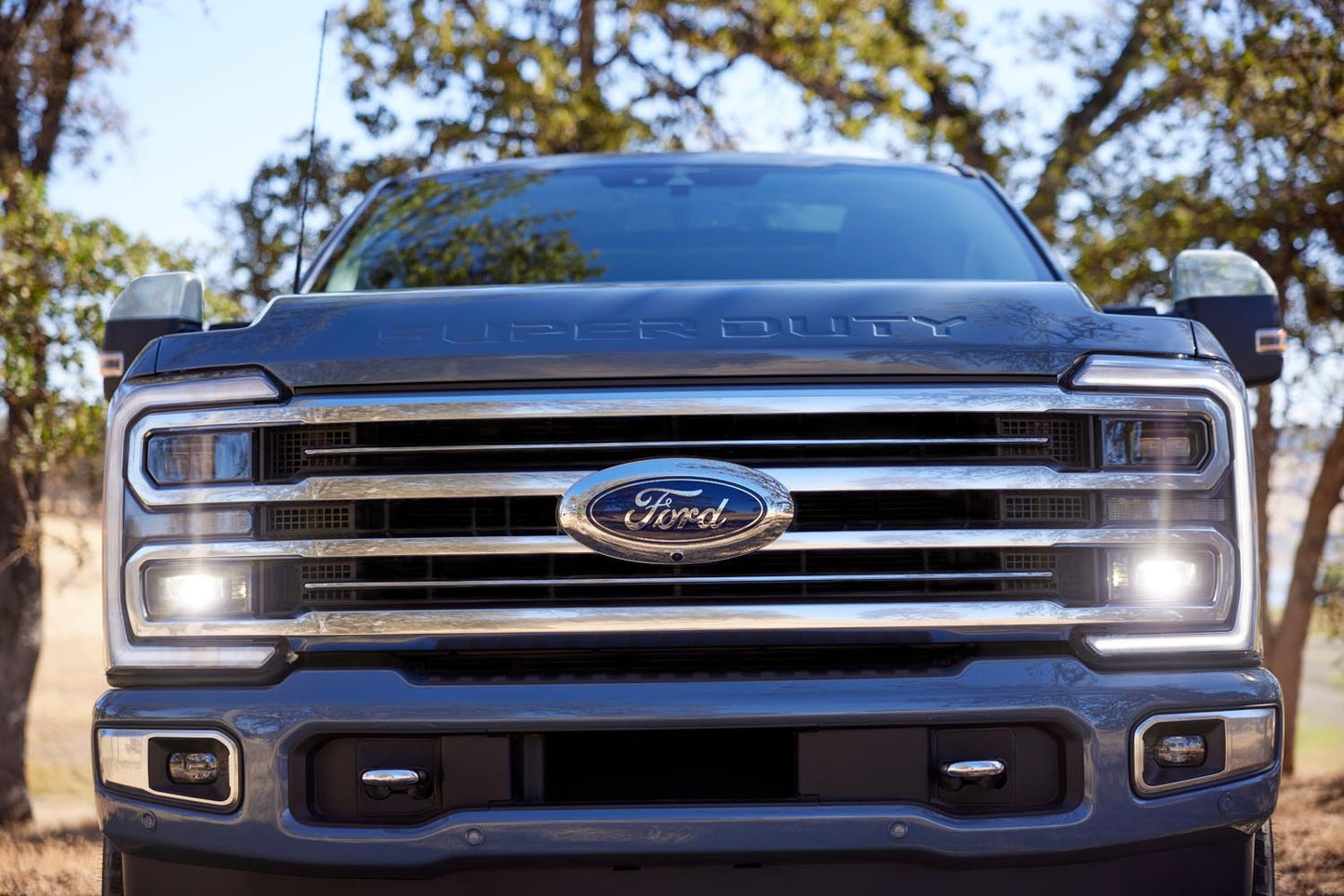Ford F 350 0144-0039