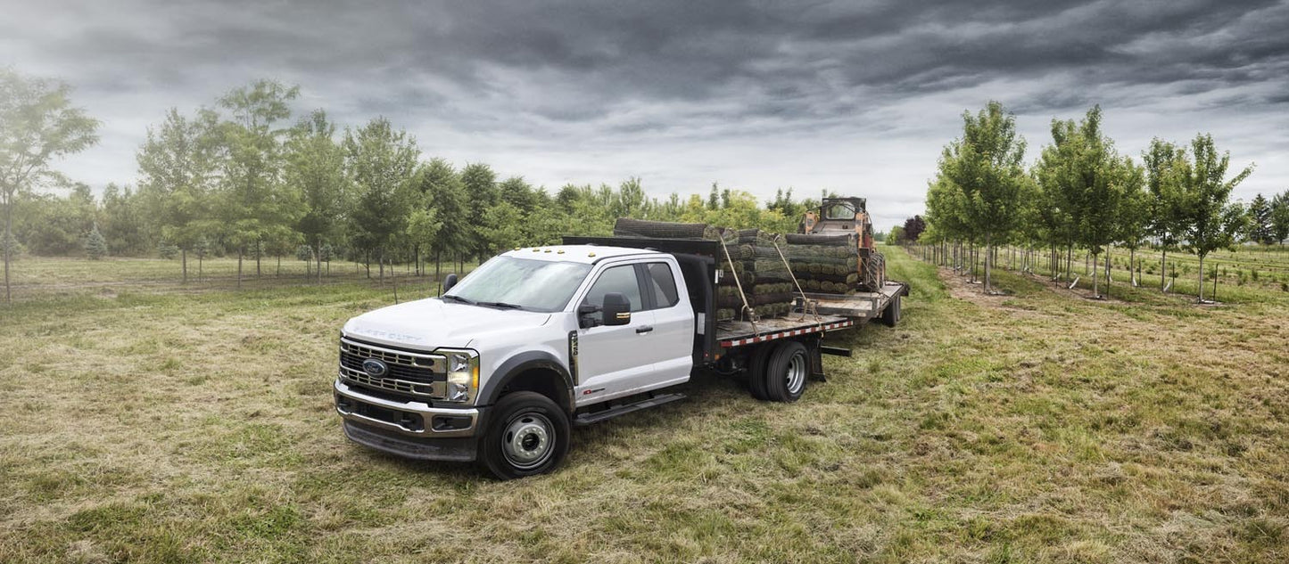 Ford F 450 0144-0044