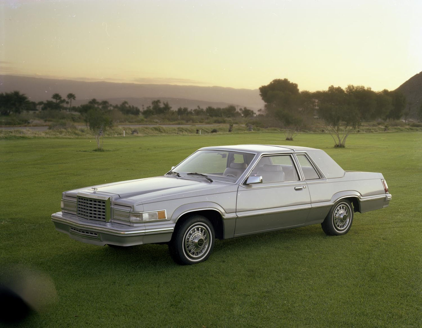 1980 Ford Thunderbird neg CN26505 103 0144-1445