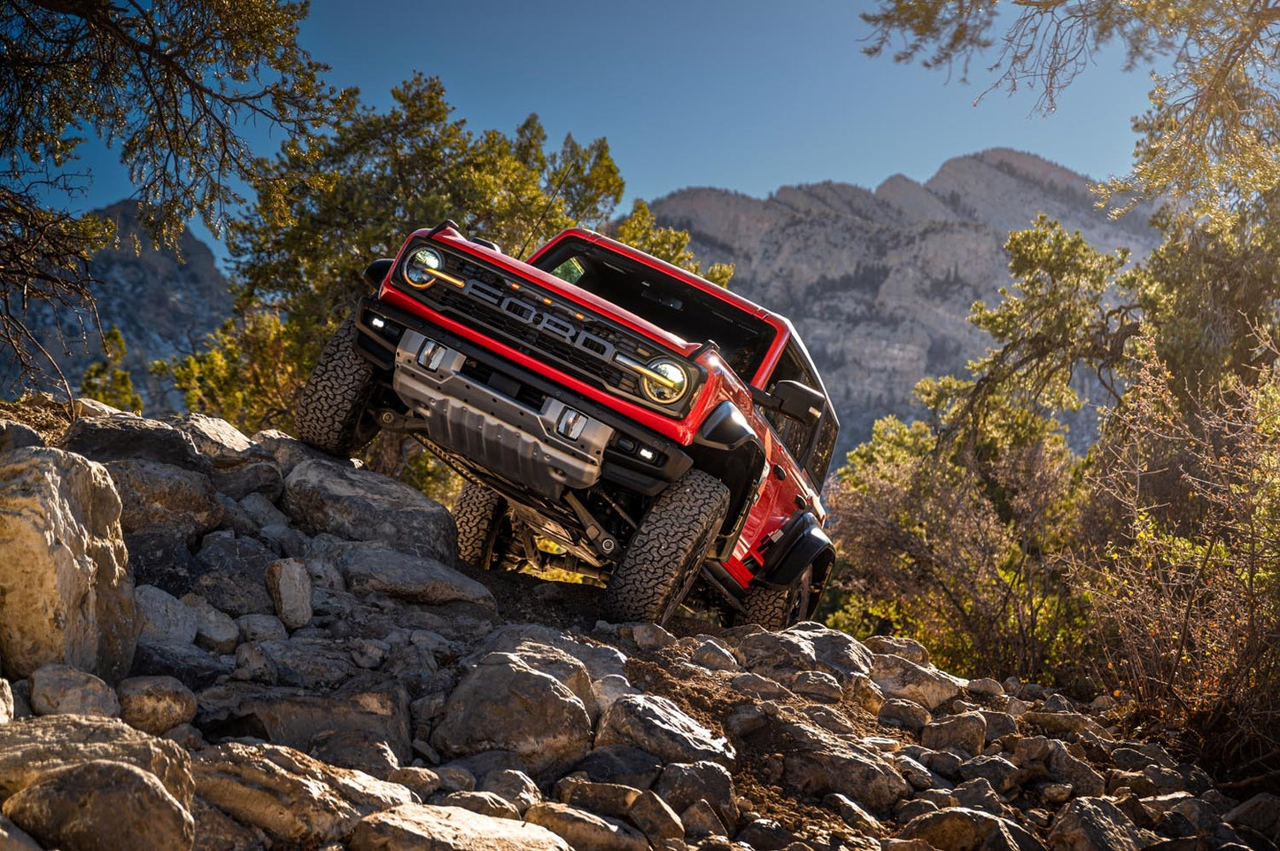 Bronco Raptor Off Roadeo 03 0144-1636