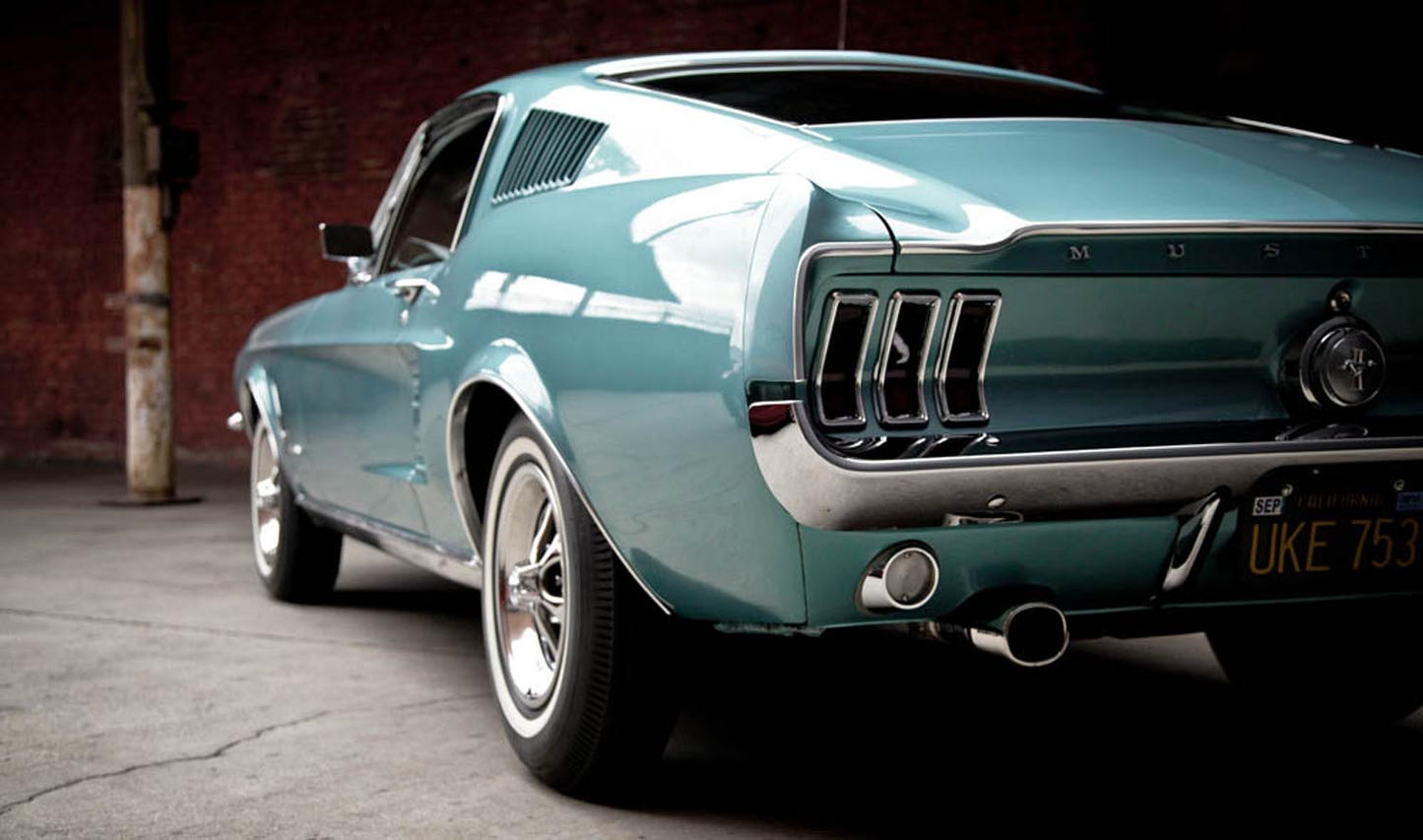 MustangInspires 8 0144-2104
