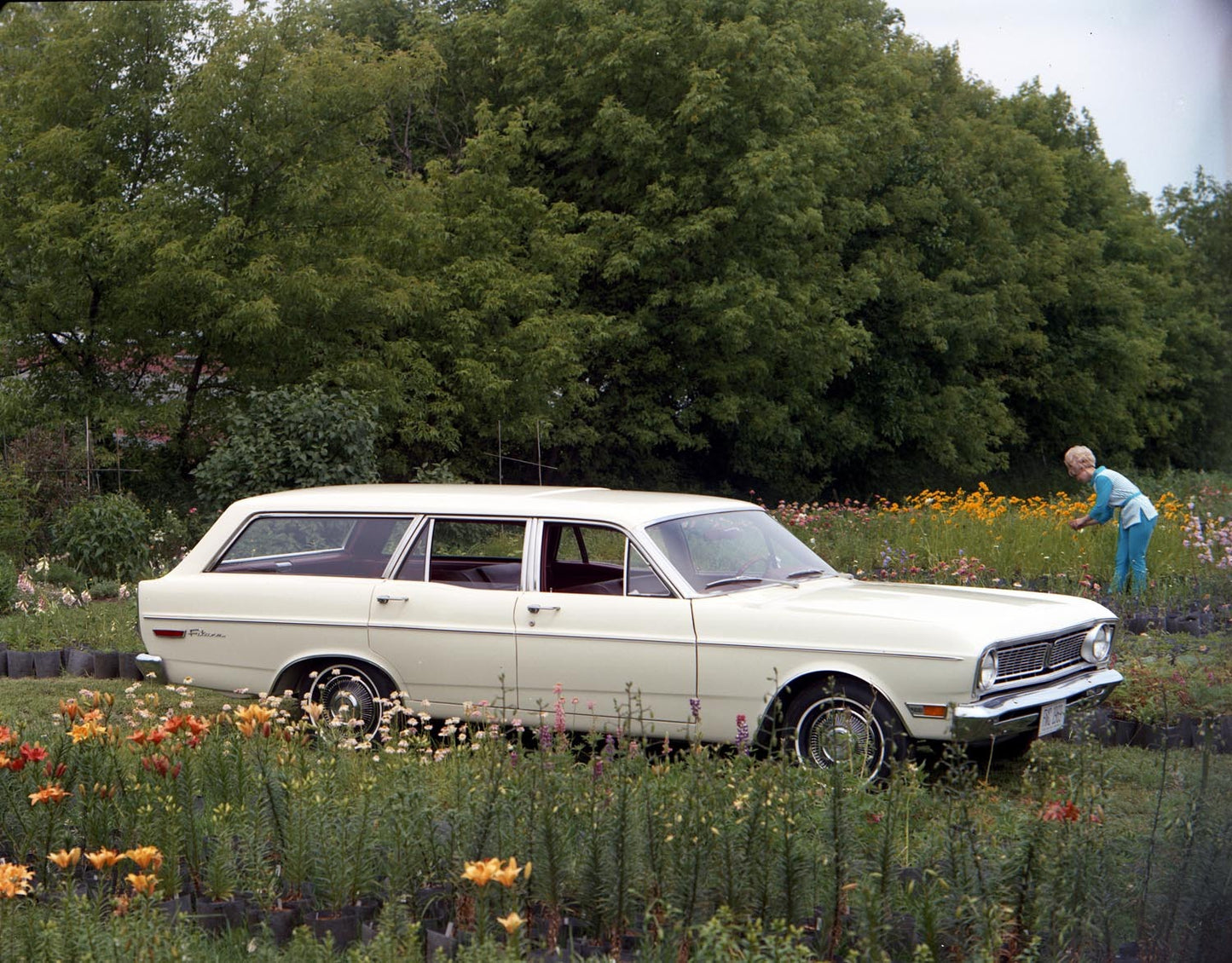 1969 Ford Falcon station wagon CN5500-108 0144-2903
