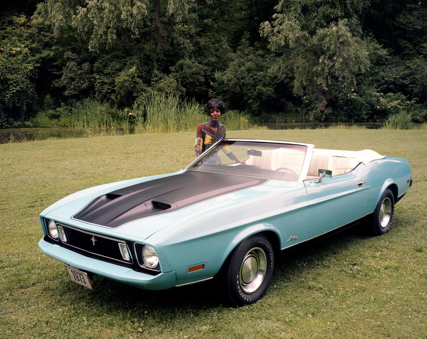 1973 Ford Mustang convertible CN6603-65 0144-3059