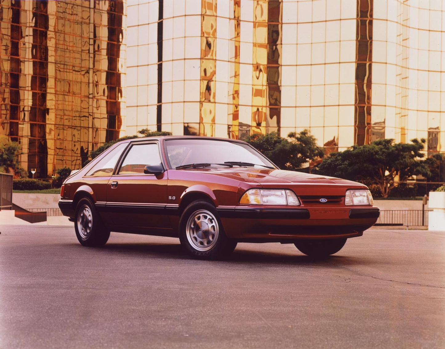 1988 Ford Mustang LX fastback CN49001-255 0144-3186