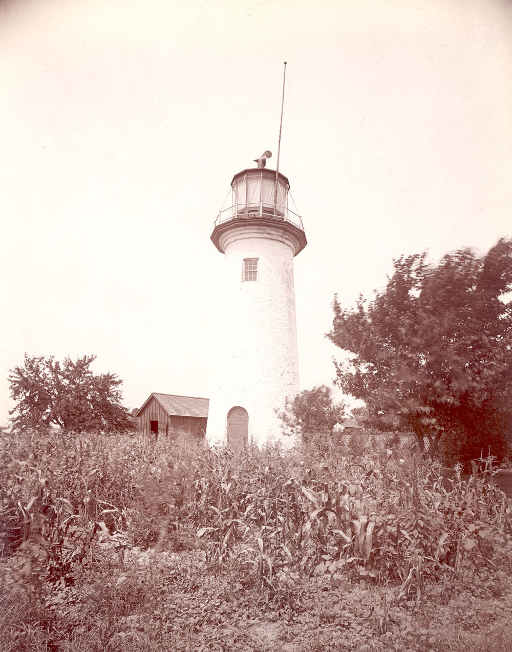 Bois Blanc Park 1905 0400-0662