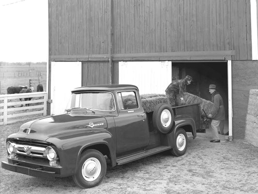 1956 Ford F 100 pickup truck 0400-8398