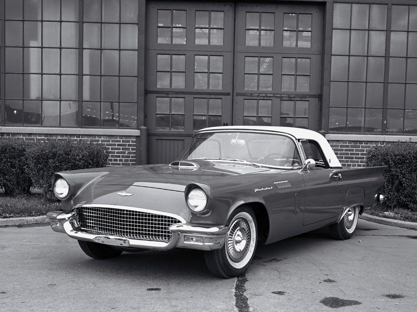 1957 Ford Thunderbird 0400-8433