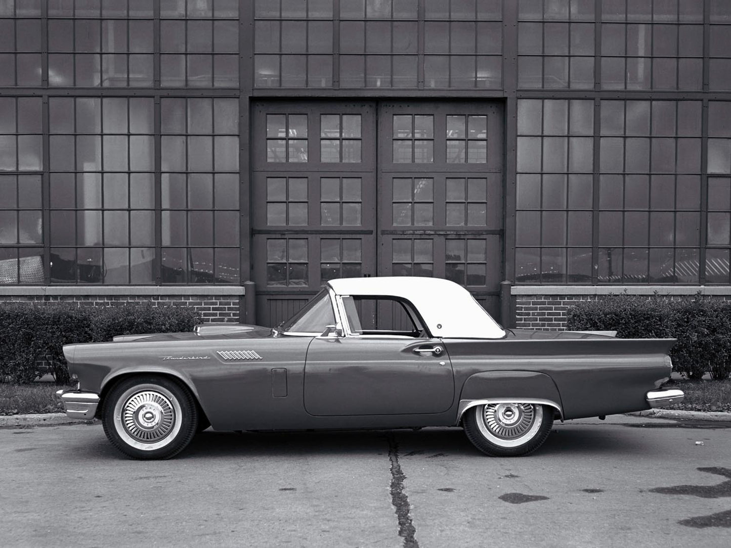 1957 Ford Thunderbird 0400-8434