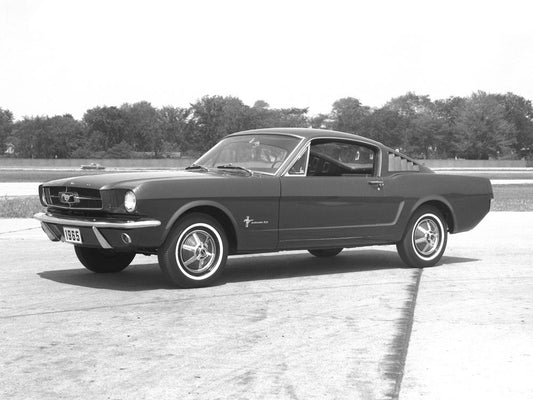 1965 Ford Mustang Fastback 0400-8613