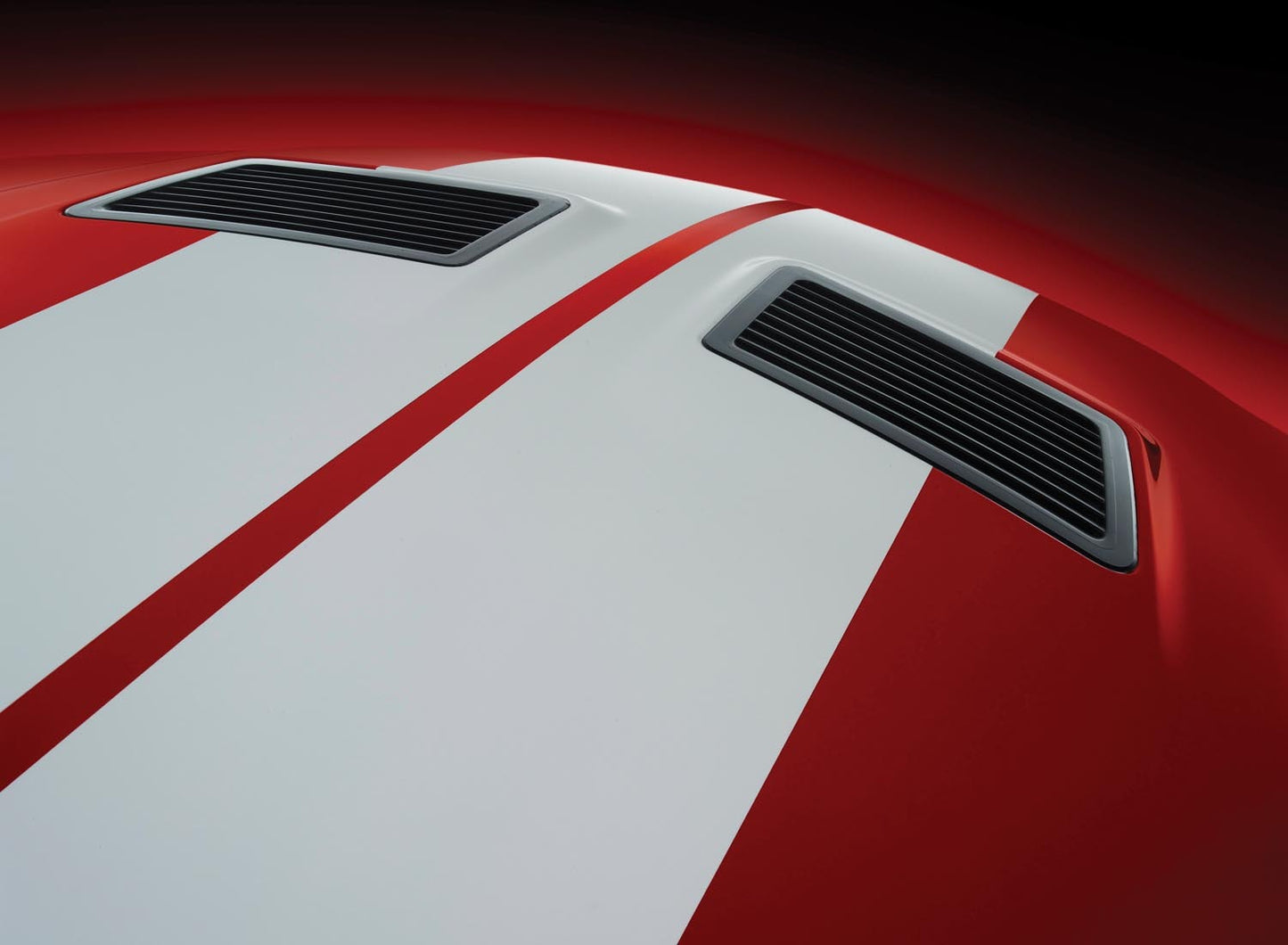 2007 Ford Mustang Shelby GT500 hood 0401-0622