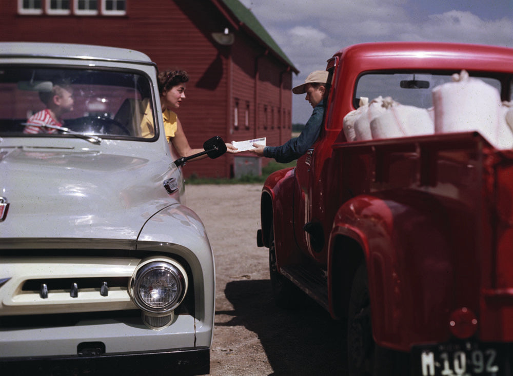 1955 Ford F 100 pickup trucks 0401-1630