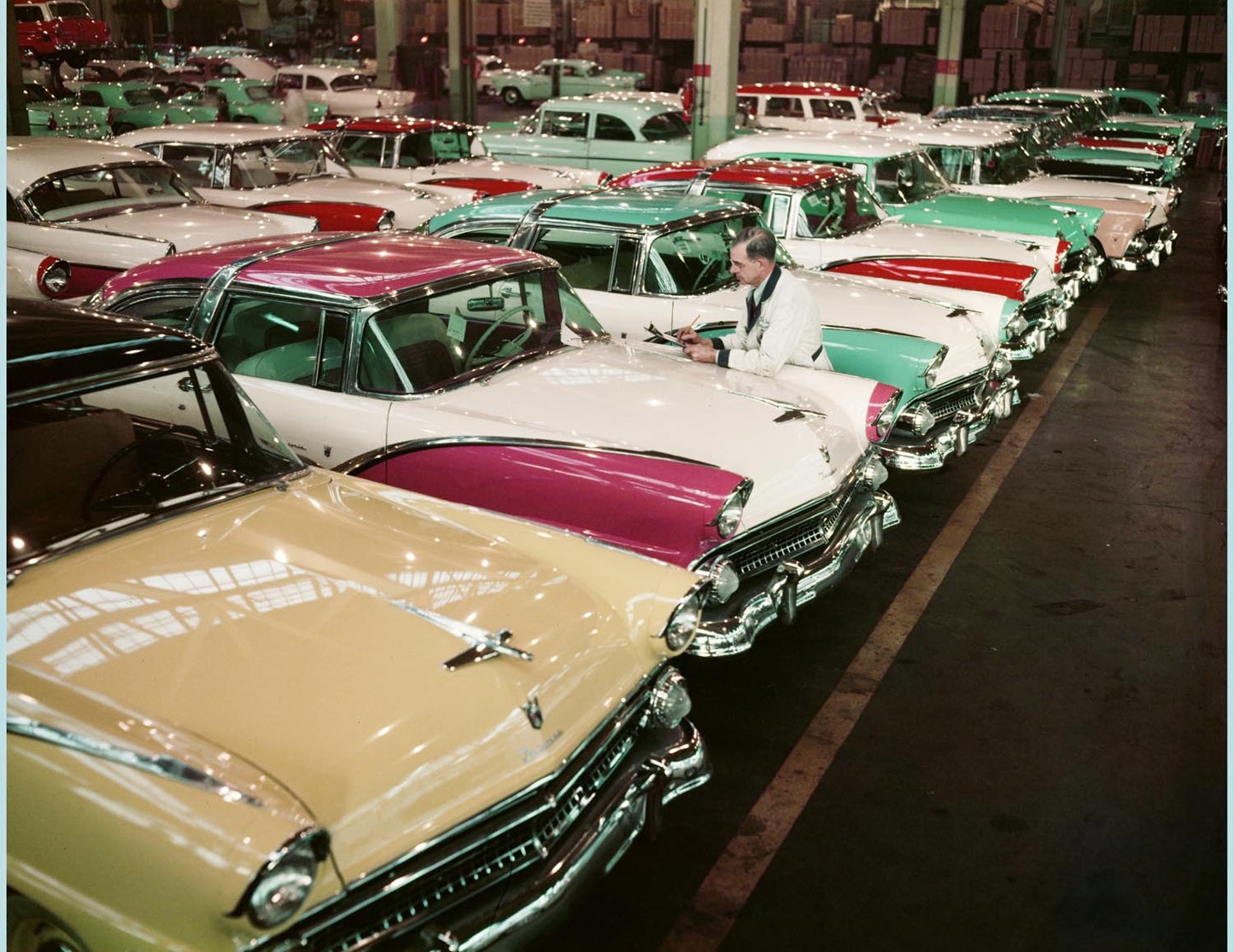 1955 Fords 0401-1695