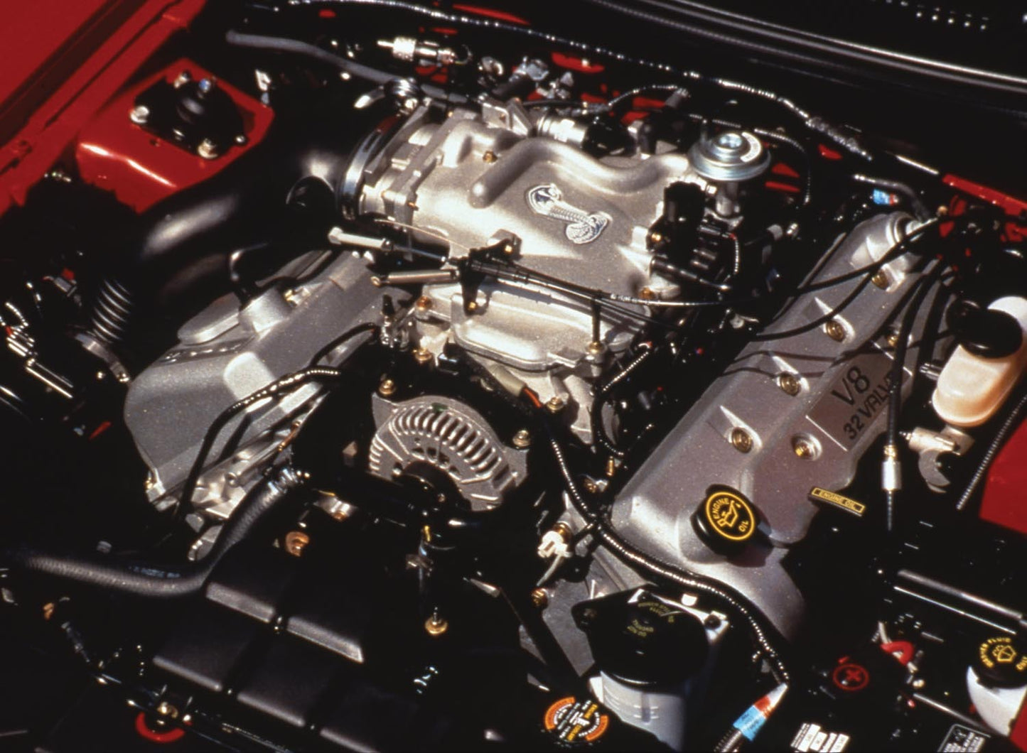 1999 Ford SVT Mustang Cobra 0401-2382