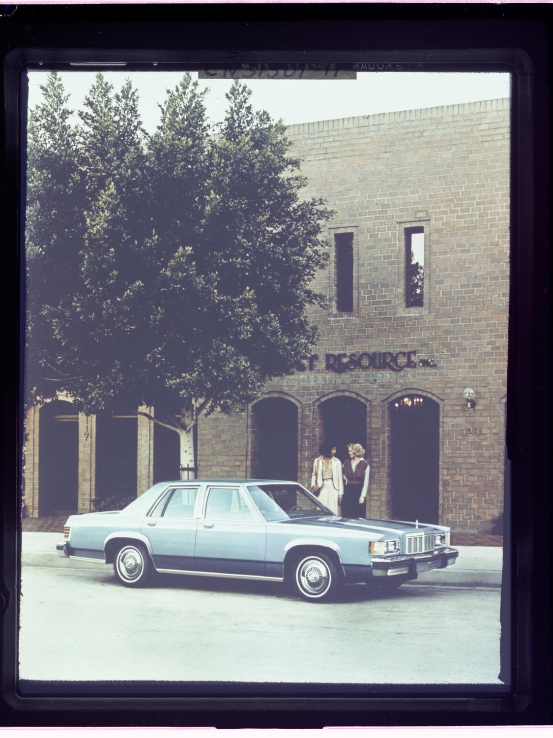 1981 Mercury Grand Marquis 0401-3541
