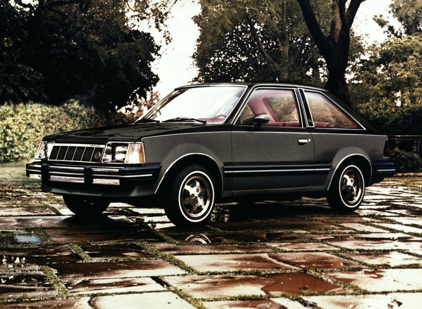 1981 Mercury Lynx 0401-3556