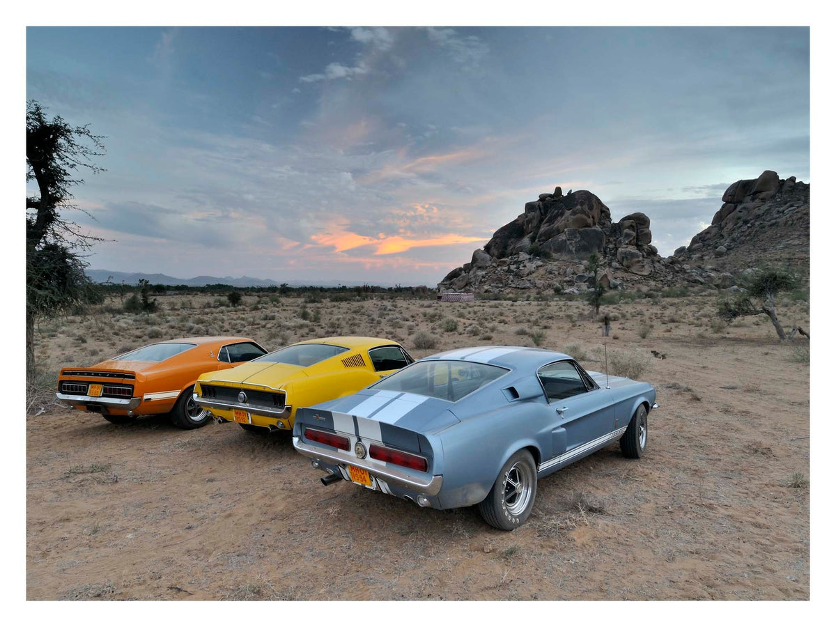 Three Mustangs in The Desert Sunset