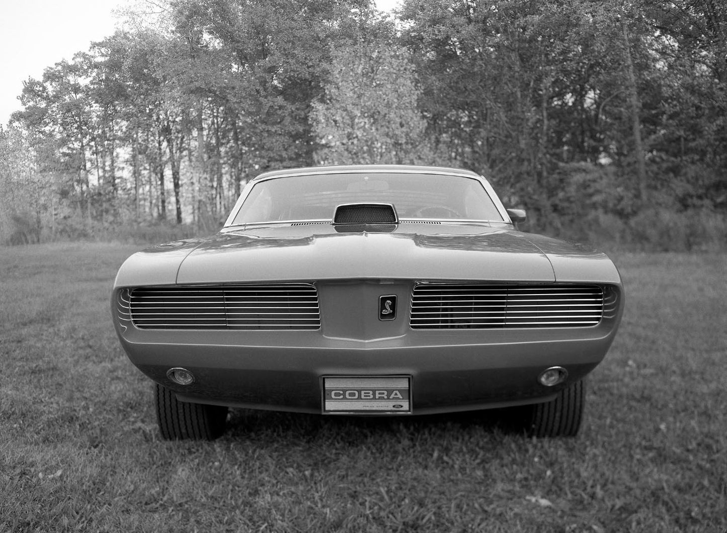 1969 Ford Fairlane Super Cobra concept car 0401-7985