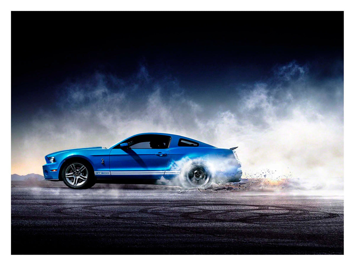 2010 Shelby GT500