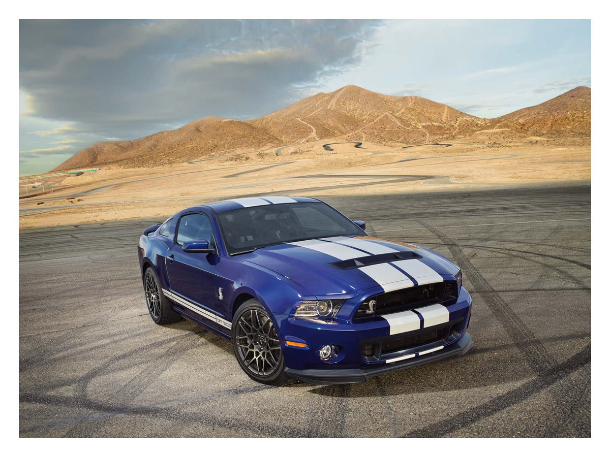 2014 Shelby GT500