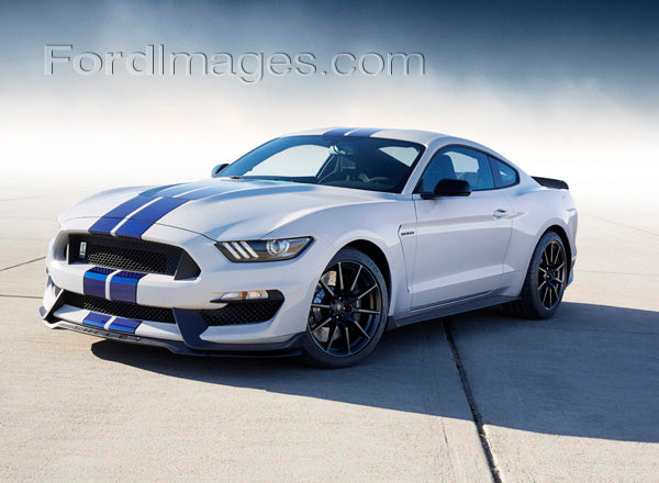 2017 Ford Mustang Art Print Poster