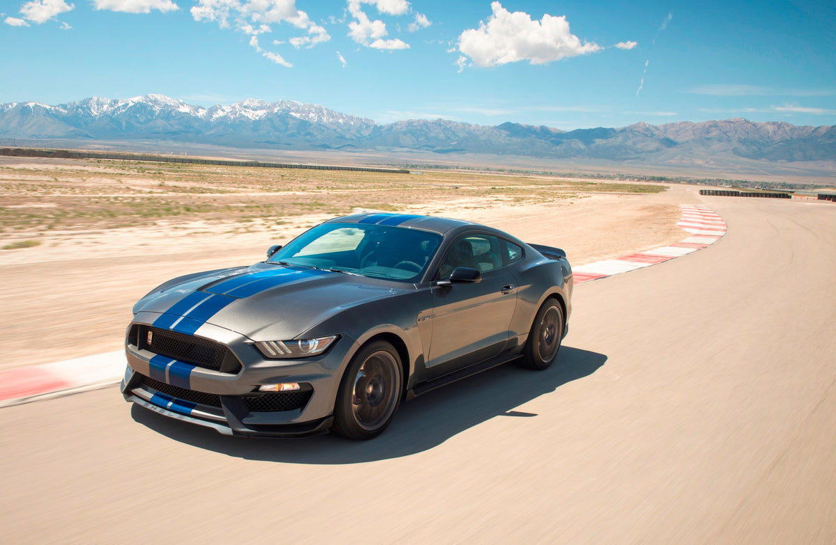 2017 Mustang Art Print Poster