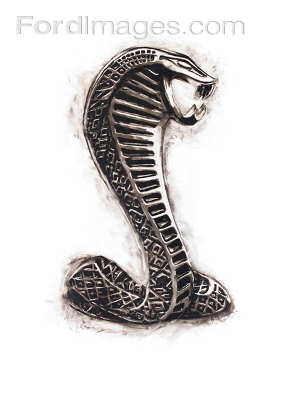 Cobra White Sign 0404-3544