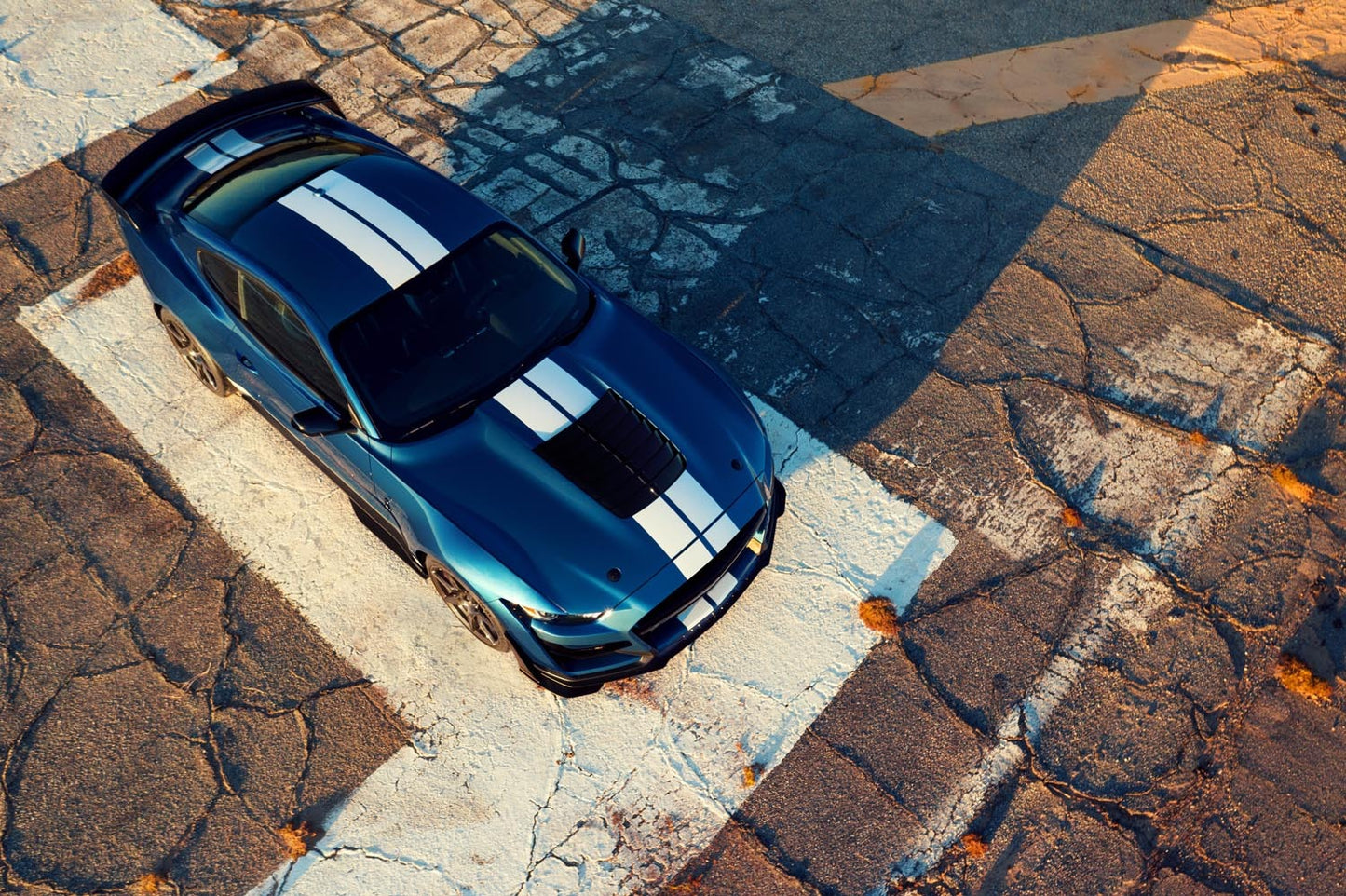 Shelby Mustang GT500 0404-4878