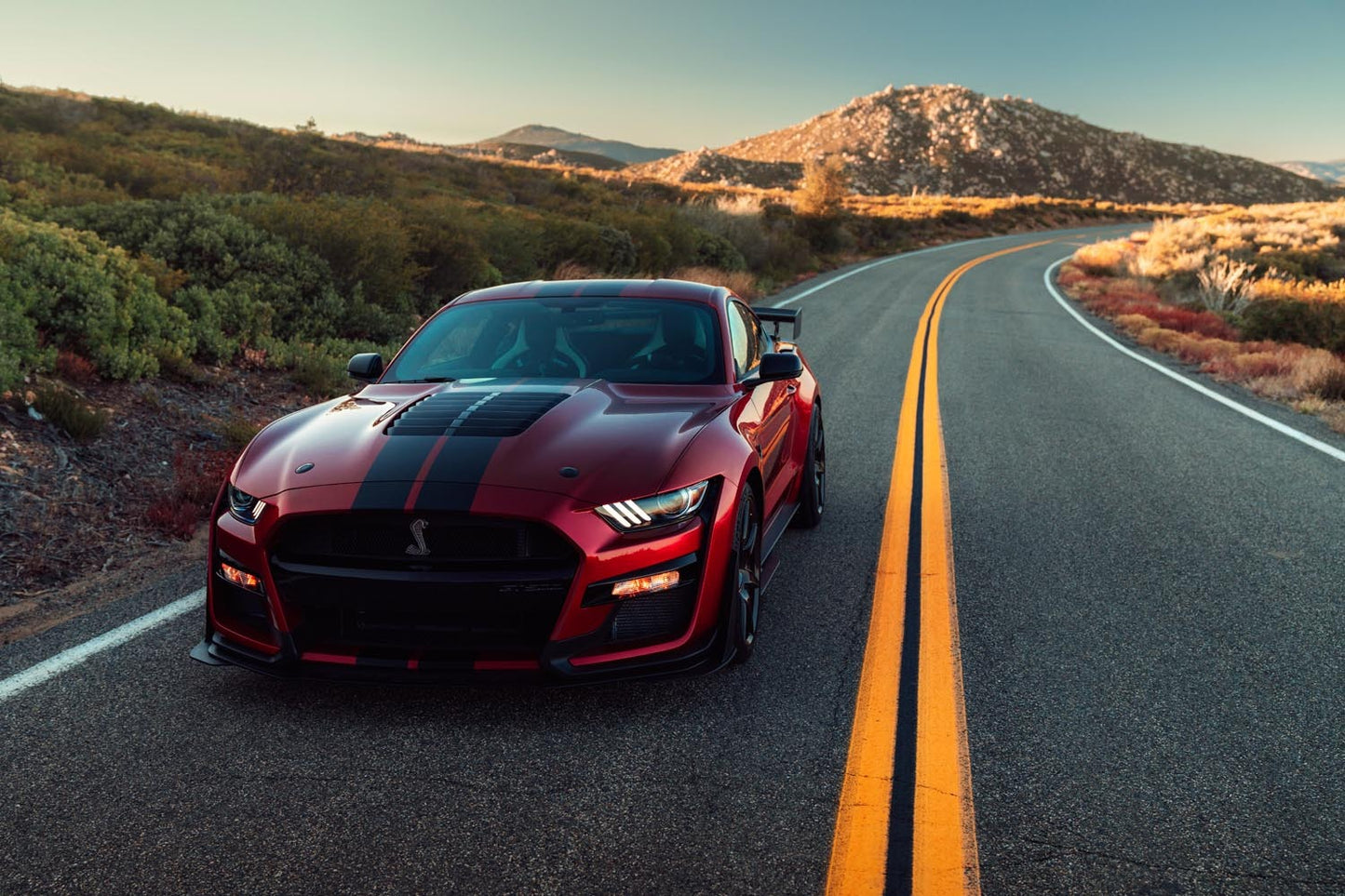 Shelby Mustang GT500 0404-4885