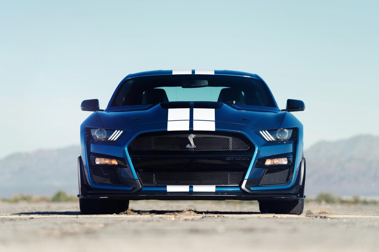 Shelby Mustang GT500 0404-4895