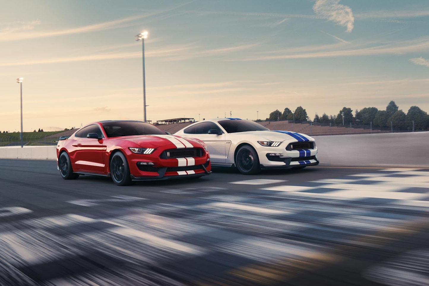 Shelby Mustang GT500 GT350 0404-4906