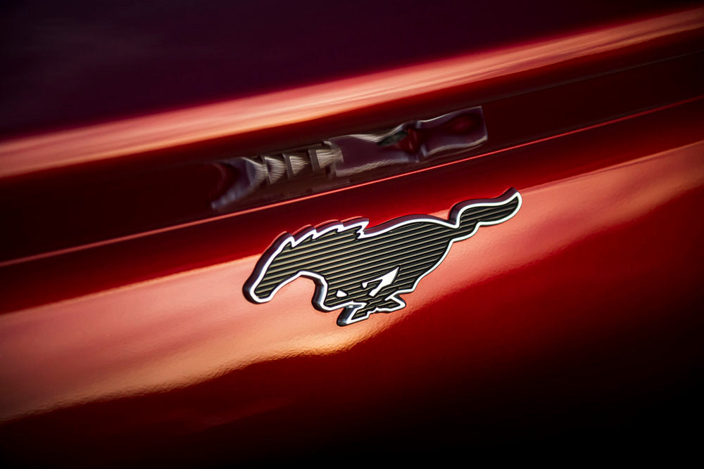 2021 Ford Mach E 0404-5709