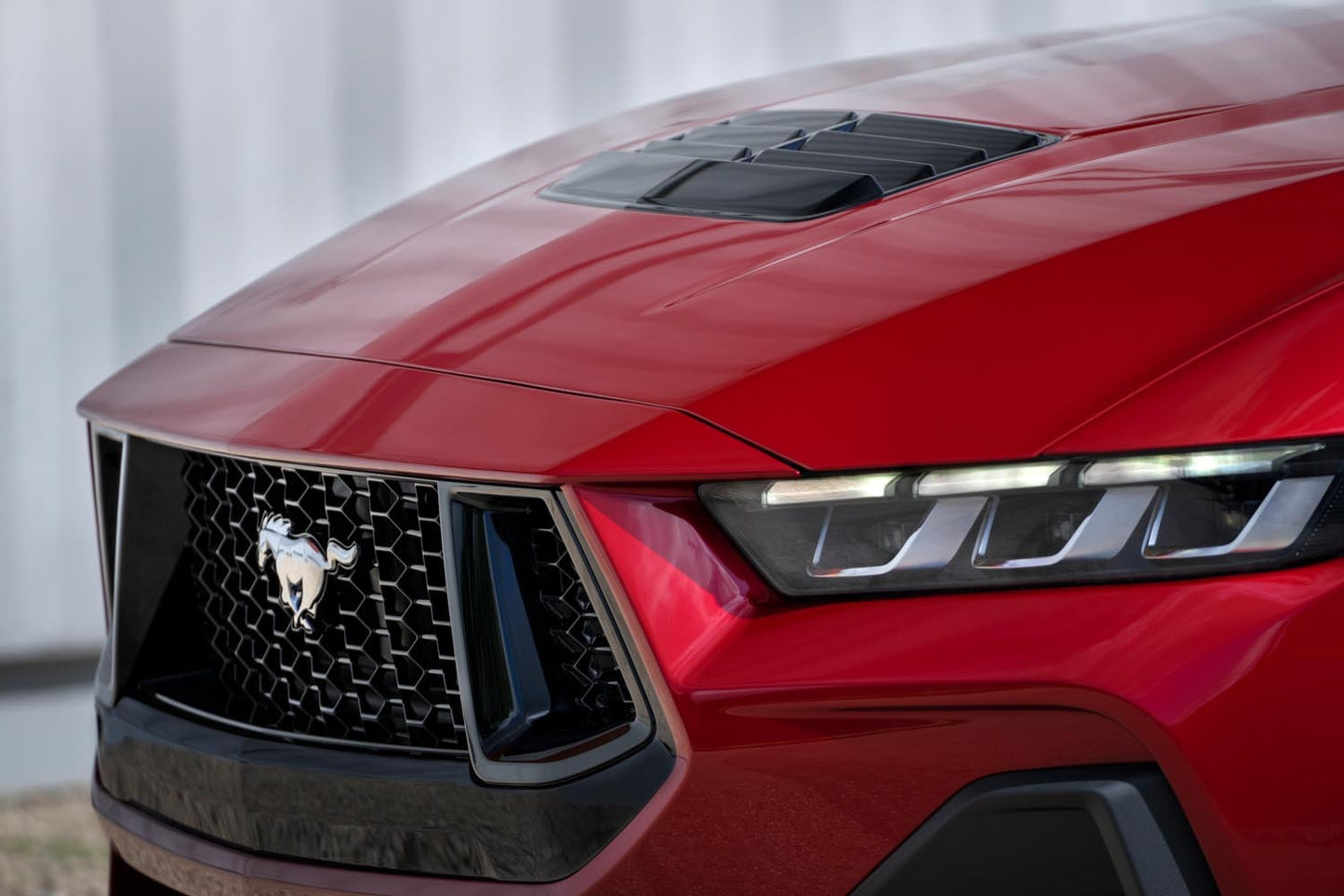 2024 MUSTANG ang 04 0404-7289