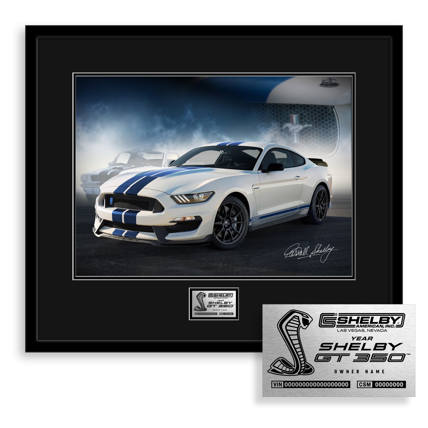 2015-2020 SHELBY GT350 ALLOY TRIPLE BLACK OWNERS EDITION