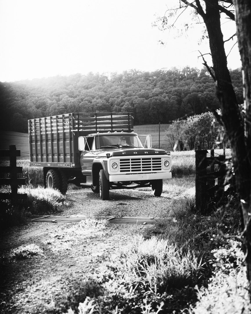 This archival image documents the 1976 Ford F-Series and is preserved in the Ford Heritage Vault as part of Ford Motor Company's historic photographic archive. Free for personal, non-commercial use. Ford Heritage Vault reference AR-2001-77-13208.6...