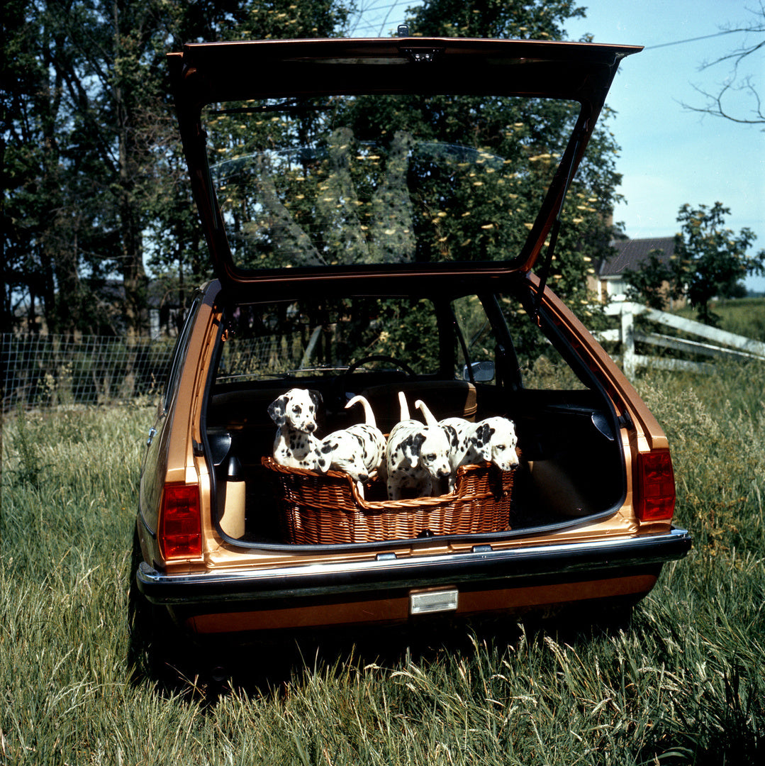 This archival image documents the 1976 Ford Fiesta Mark I Ghia Rear View with dalmatian puppies and is preserved in the Ford Heritage Vault as part of Ford Motor Company's historic photographic archive. Free for personal, non-commercial use. Ford ...