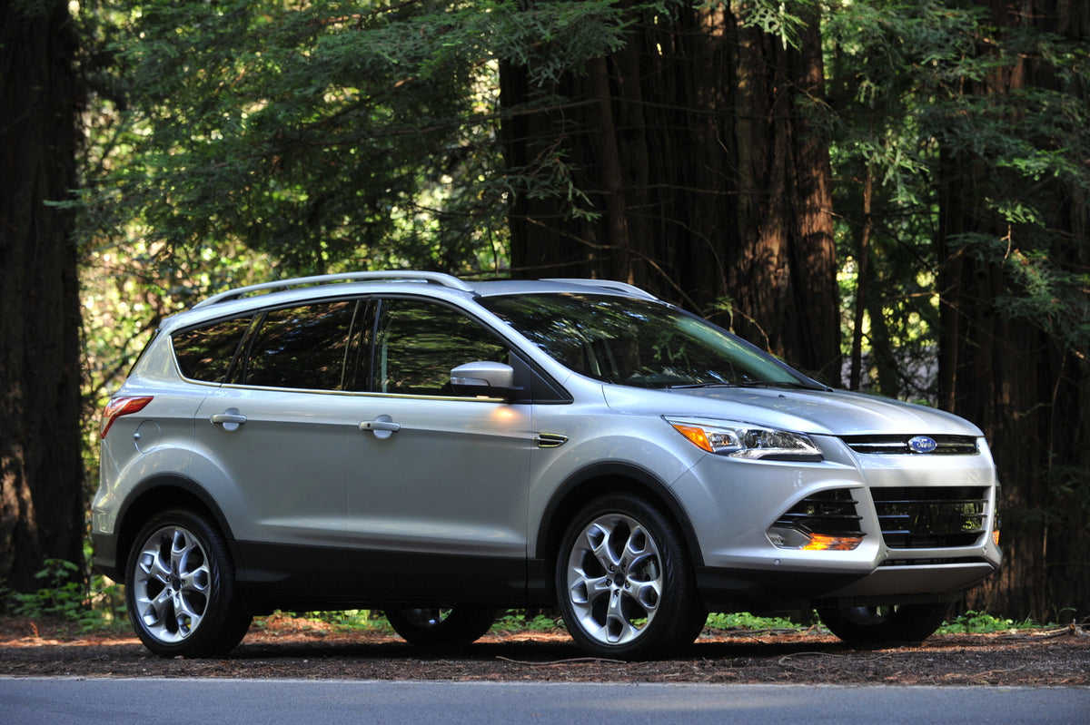 This archival image documents the 2013 Ford Escape scenic trees and is preserved in the Ford Heritage Vault as part of Ford Motor Company's historic photographic archive. Free for personal, non-commercial use. Ford Heritage Vault reference AR-2008...