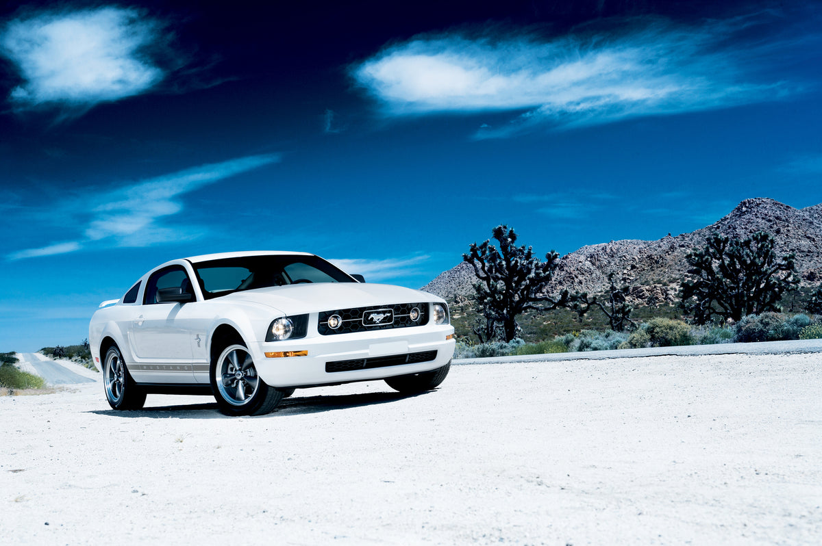 This archival image documents the 2006 Ford Mustang with Pony Package and is preserved in the Ford Heritage Vault as part of Ford Motor Company's historic photographic archive. Free for personal, non-commercial use. Ford Heritage Vault reference A...