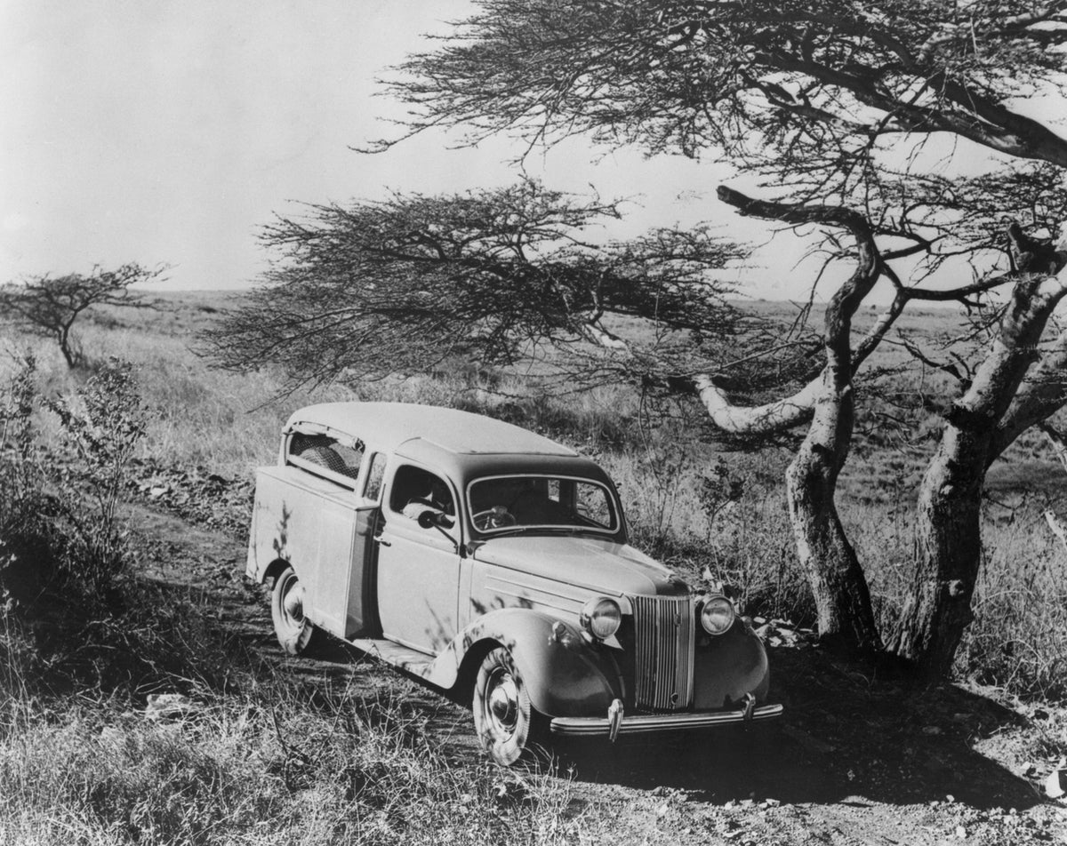 This archival image documents the 1949 Ford Pilot in Nairobi National Park and is preserved in the Ford Heritage Vault as part of Ford Motor Company's historic photographic archive. Free for personal, non-commercial use. Ford Heritage Vault refere...
