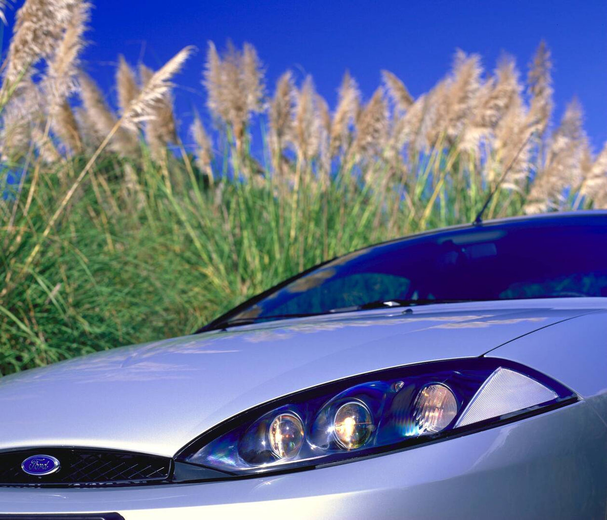 This archival image documents the 1998 Ford Cougar front closeup with scenic plants AR-2002-213709 and is preserved in the Ford Heritage Vault as part of Ford Motor Company's historic photographic archive. Free for personal, non-commercial use. Fo...
