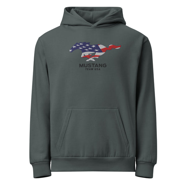 Mustang Team USA embroidered Urban garment-dyed hoodie