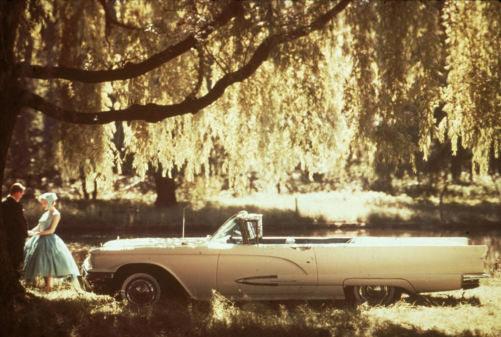 1959 Ford Thunderbird Print 0001-0932