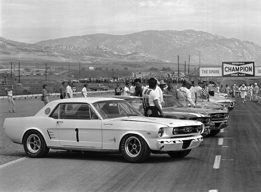 1966 Riverside SCCA Trans Am Race 0001-4541